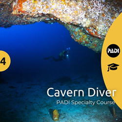 Ustica Cavern Diver Training